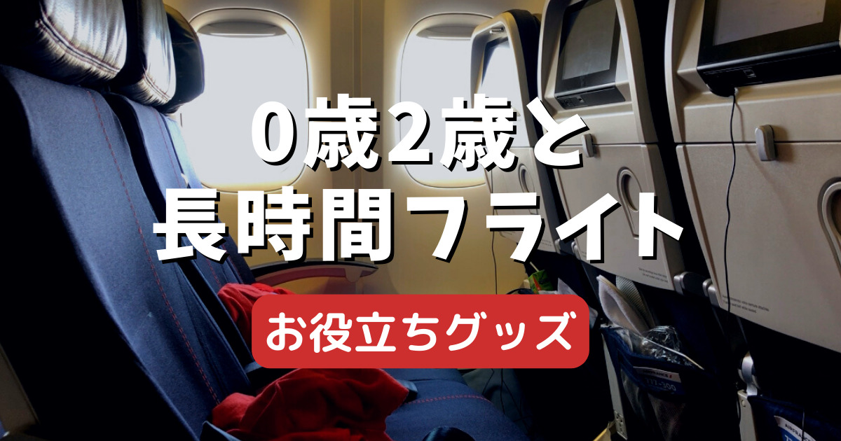 2歳半 0歳の子連れ飛行機持って行って良かった 11選 むしょこinオーストリア